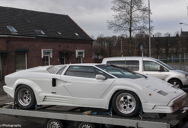 Lamborghini Countach 25th Anniversary