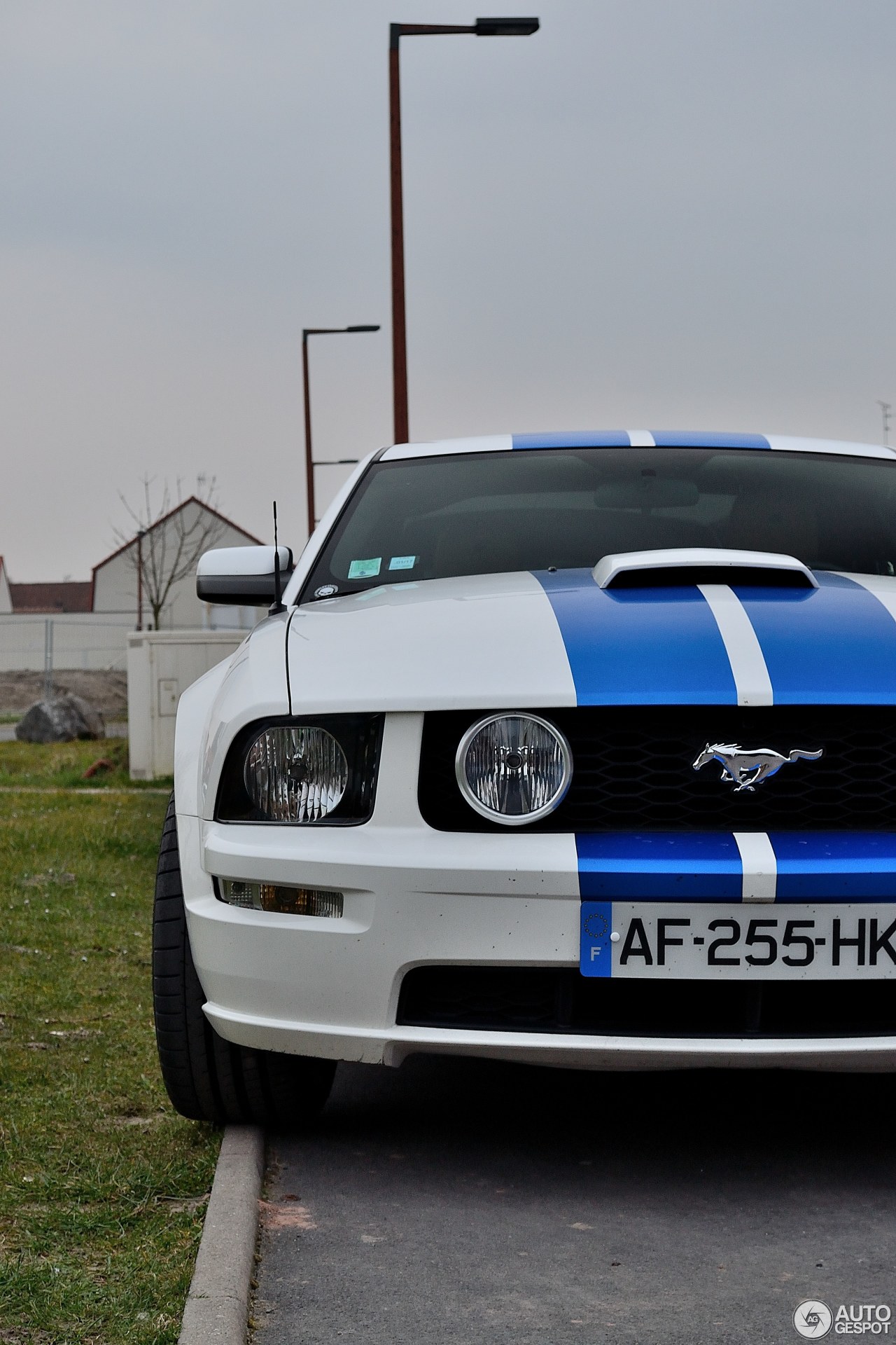 Ford Mustang Shelby GT