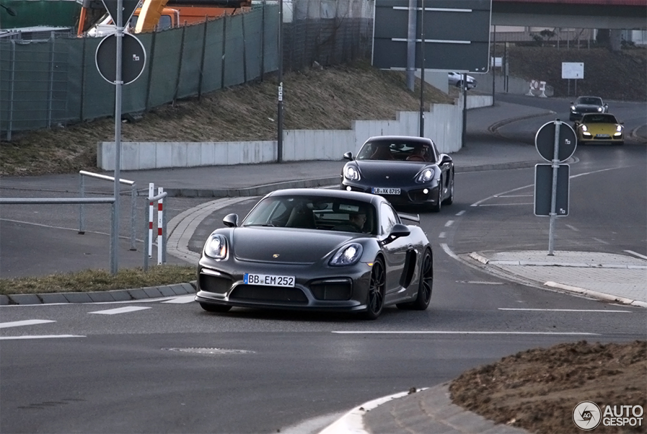 Porsche 981 Cayman GT4