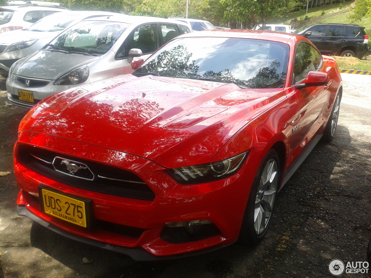 Ford Mustang GT 50th Anniversary Edition