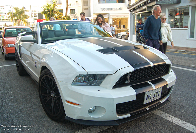 Ford Mustang Shelby GT500 Convertible 2010