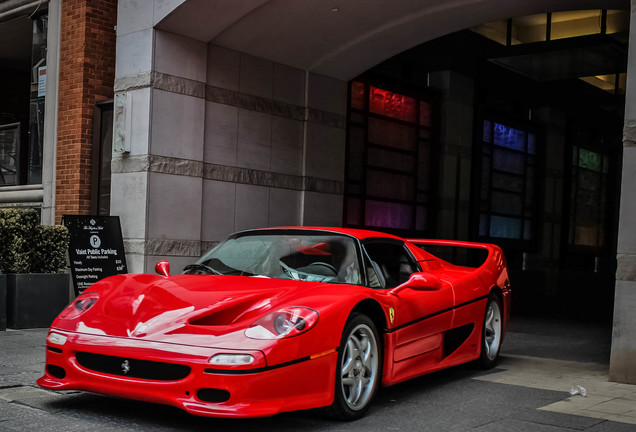 Ferrari F50