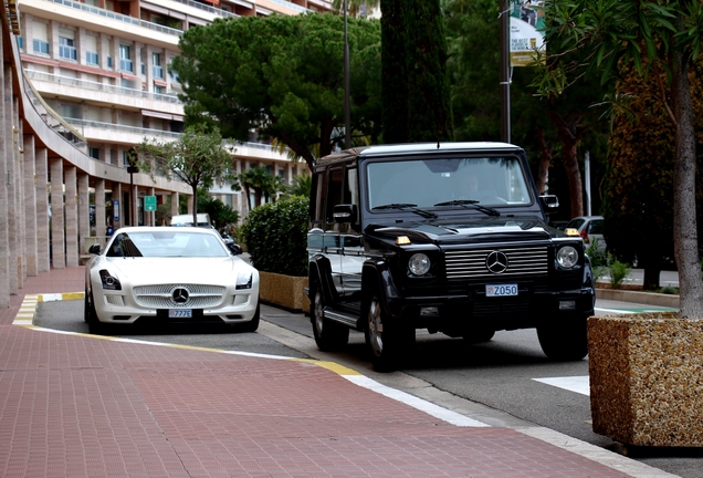 Mercedes-Benz SLS AMG Electric Drive