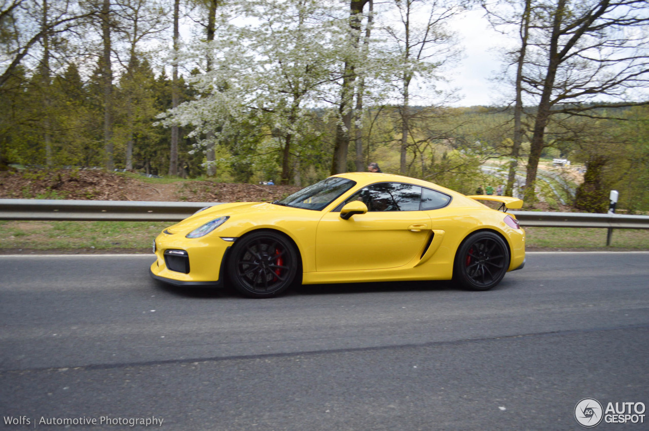 Porsche 981 Cayman GT4