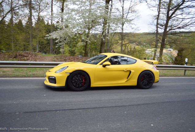 Porsche 981 Cayman GT4