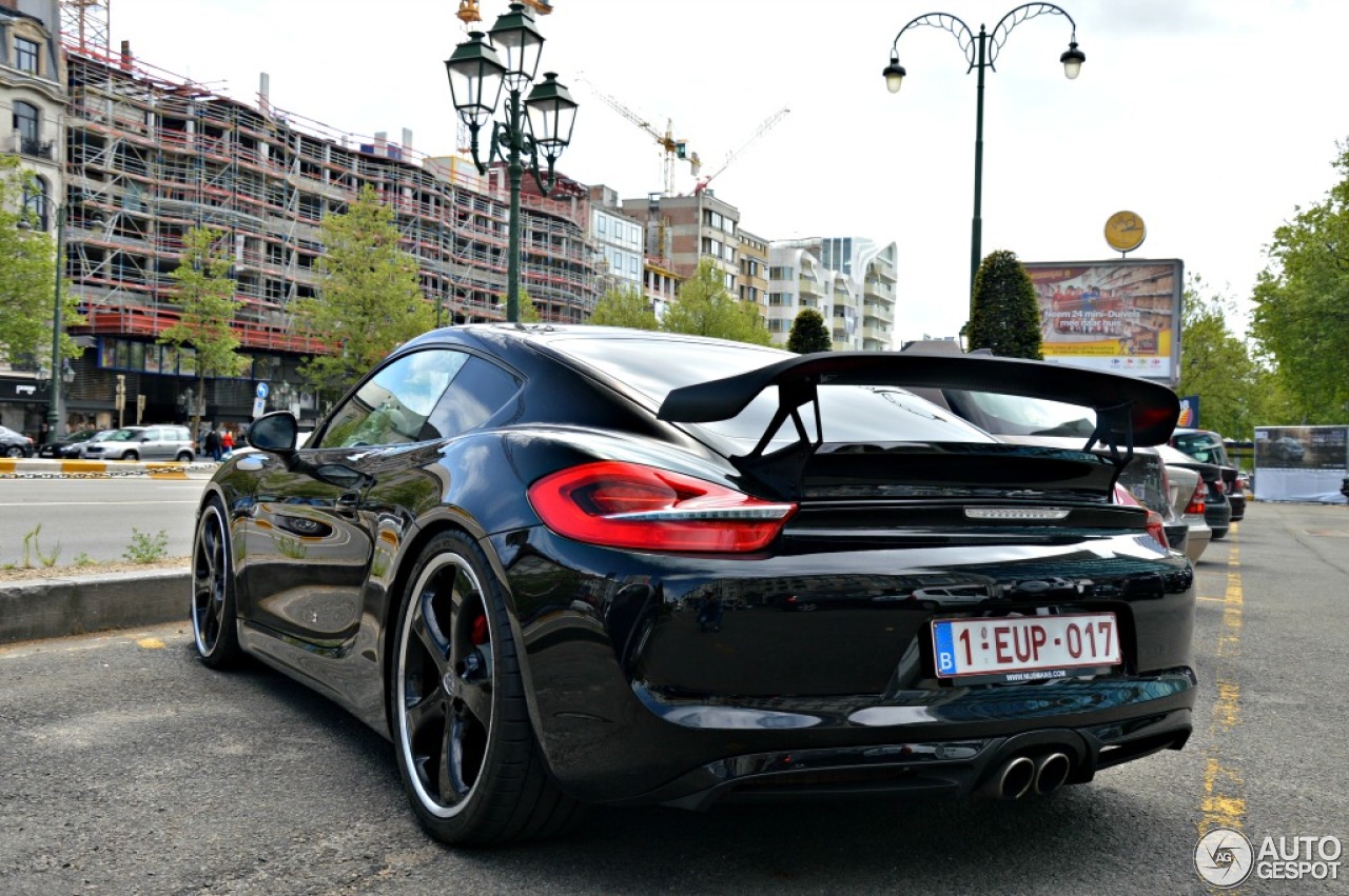 Porsche TechArt Cayman S 2013