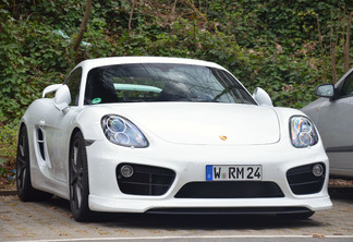 Porsche TechArt Cayman S 2013