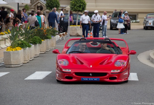 Ferrari F50