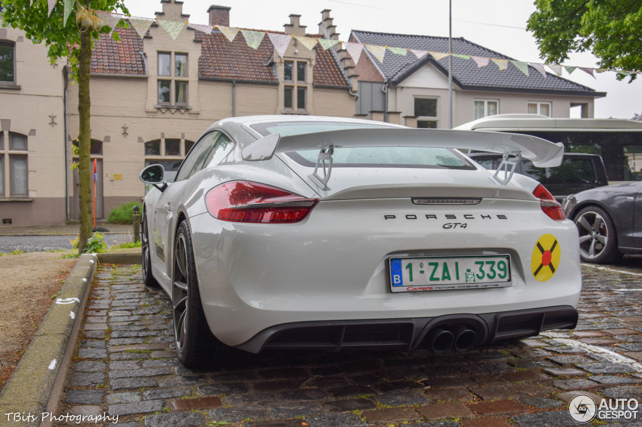 Porsche 981 Cayman GT4