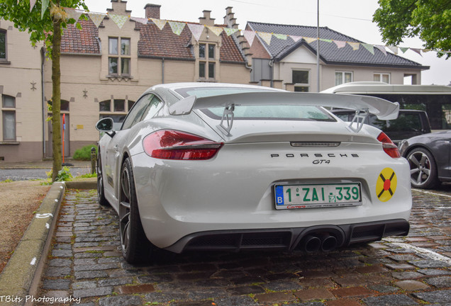 Porsche 981 Cayman GT4