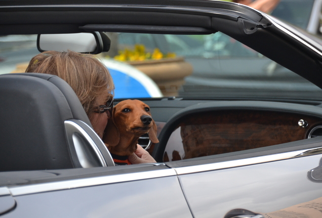 Bentley Continental GTC