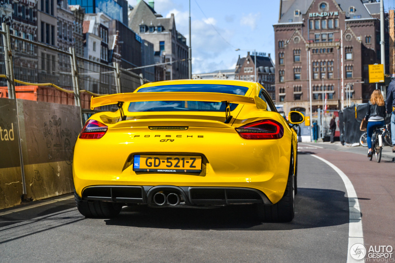 Porsche 981 Cayman GT4