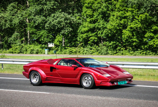 Lamborghini Countach 25th Anniversary