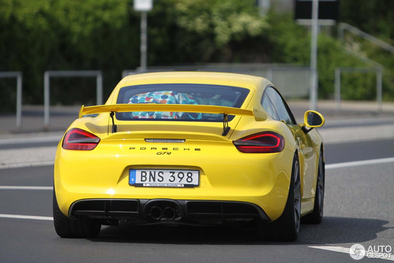 Porsche 981 Cayman GT4