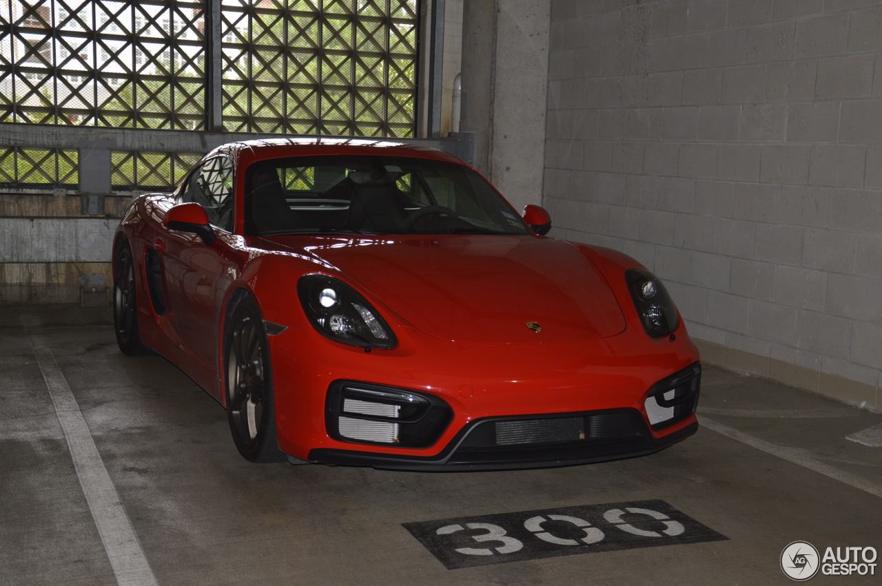 Porsche 981 Cayman GTS