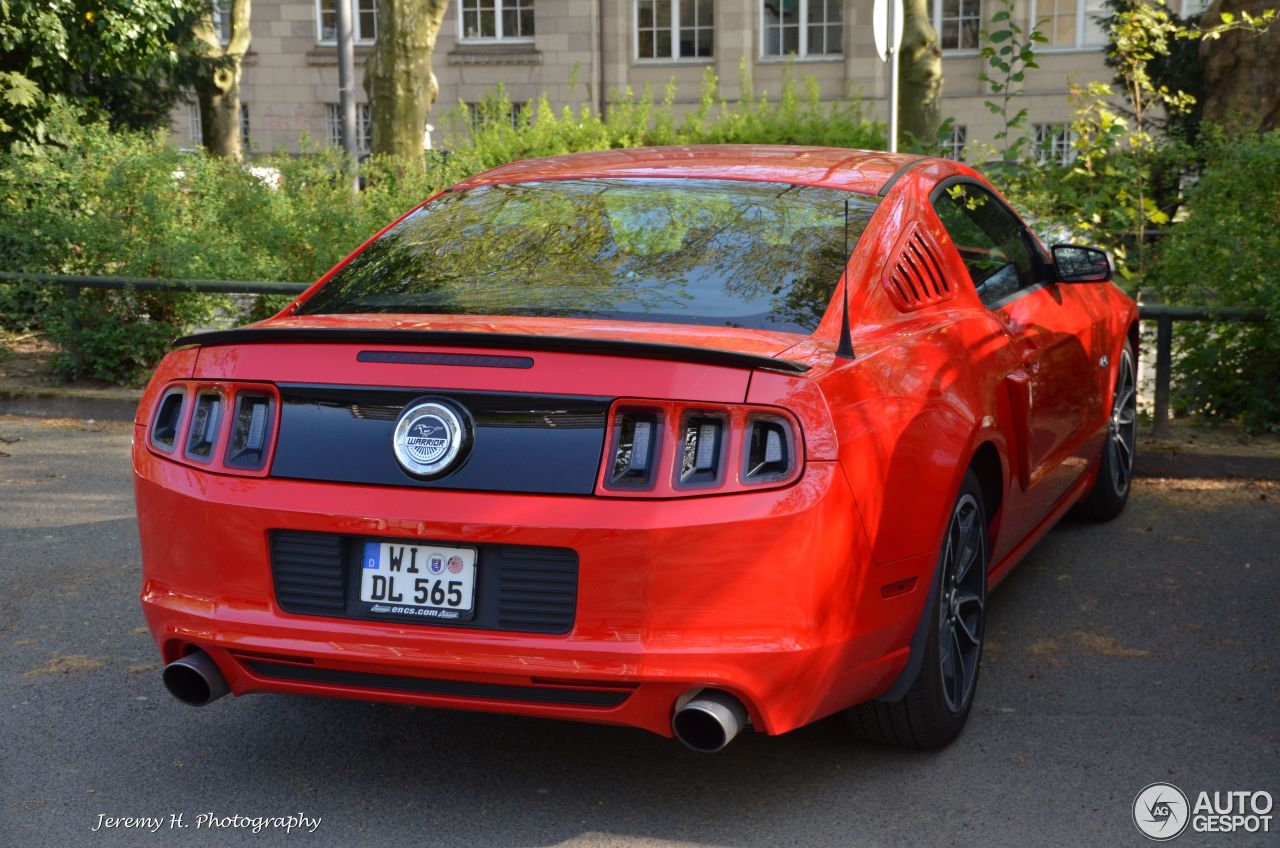 Ford Mustang GT Warrior 2013