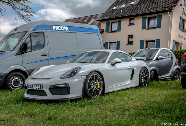 Porsche 981 Cayman GT4