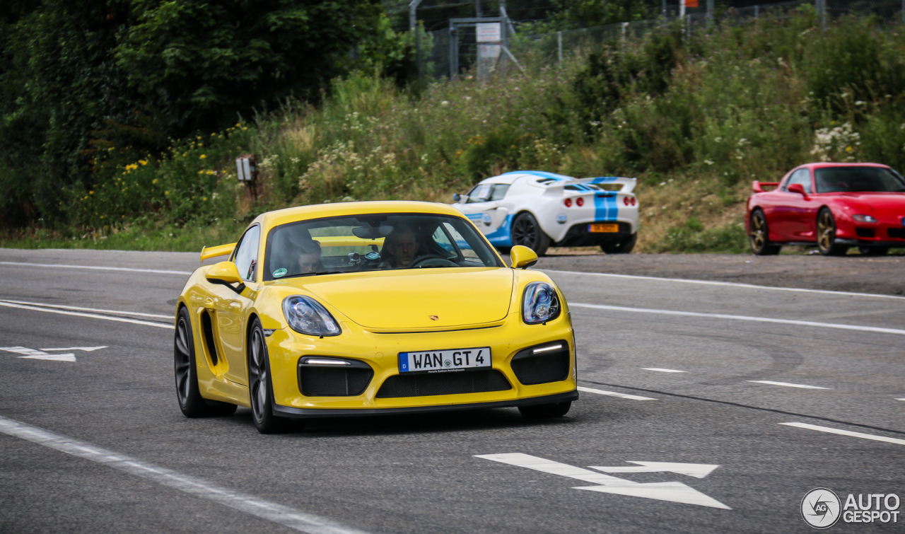 Porsche 981 Cayman GT4