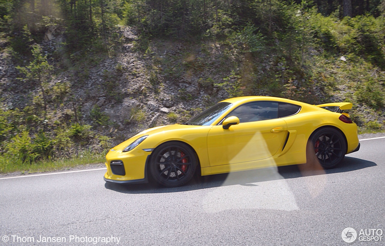 Porsche 981 Cayman GT4