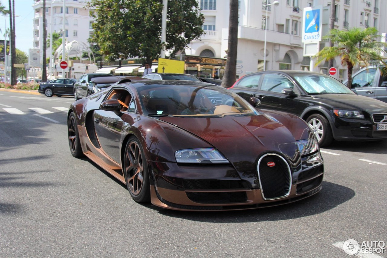 Bugatti Veyron 16.4 Grand Sport Vitesse Rembrandt Bugatti