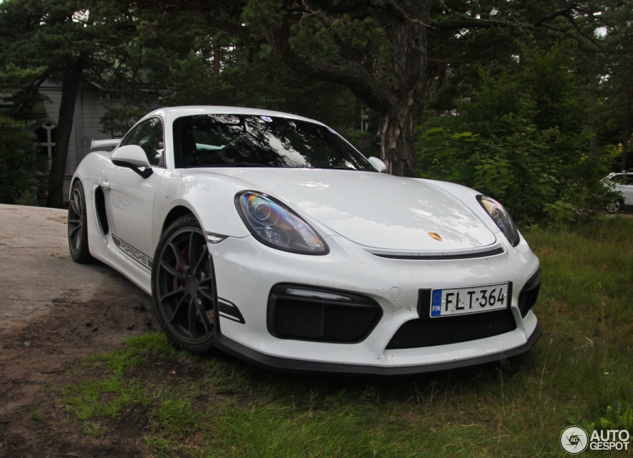 Porsche 981 Cayman GT4