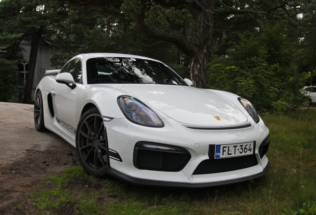 Porsche 981 Cayman GT4