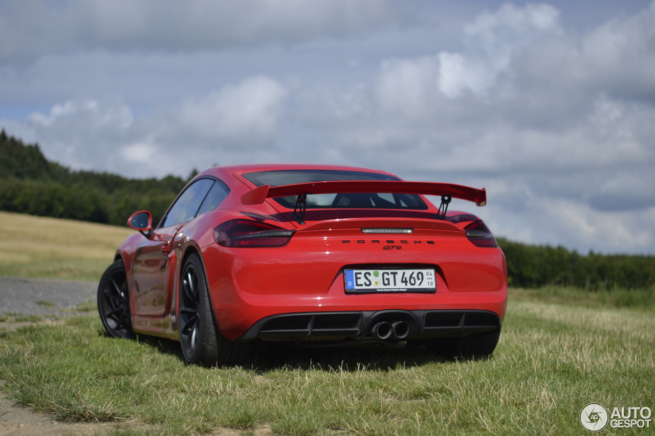 Porsche 981 Cayman GT4