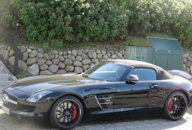 Mercedes-Benz SLS AMG Roadster