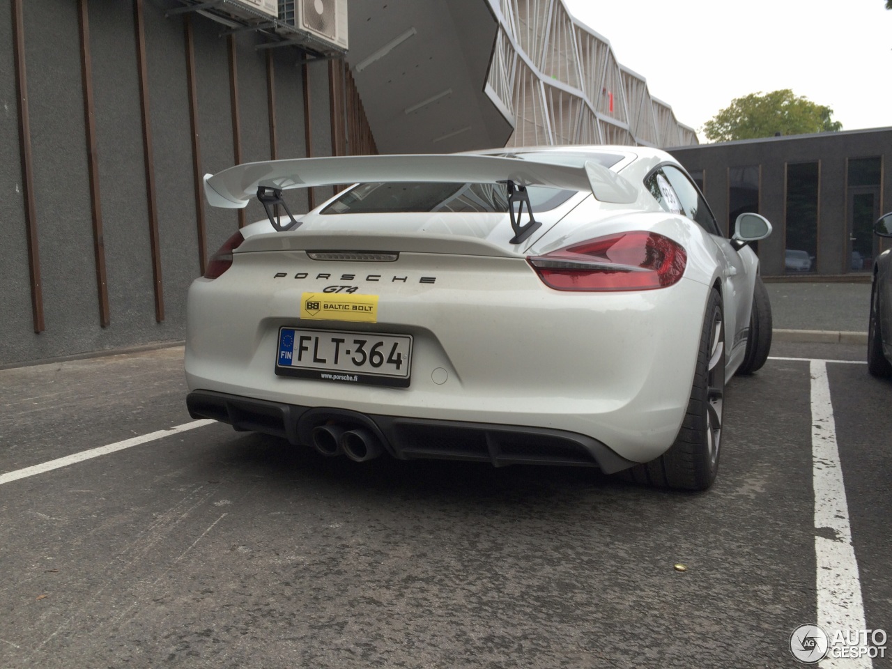 Porsche 981 Cayman GT4