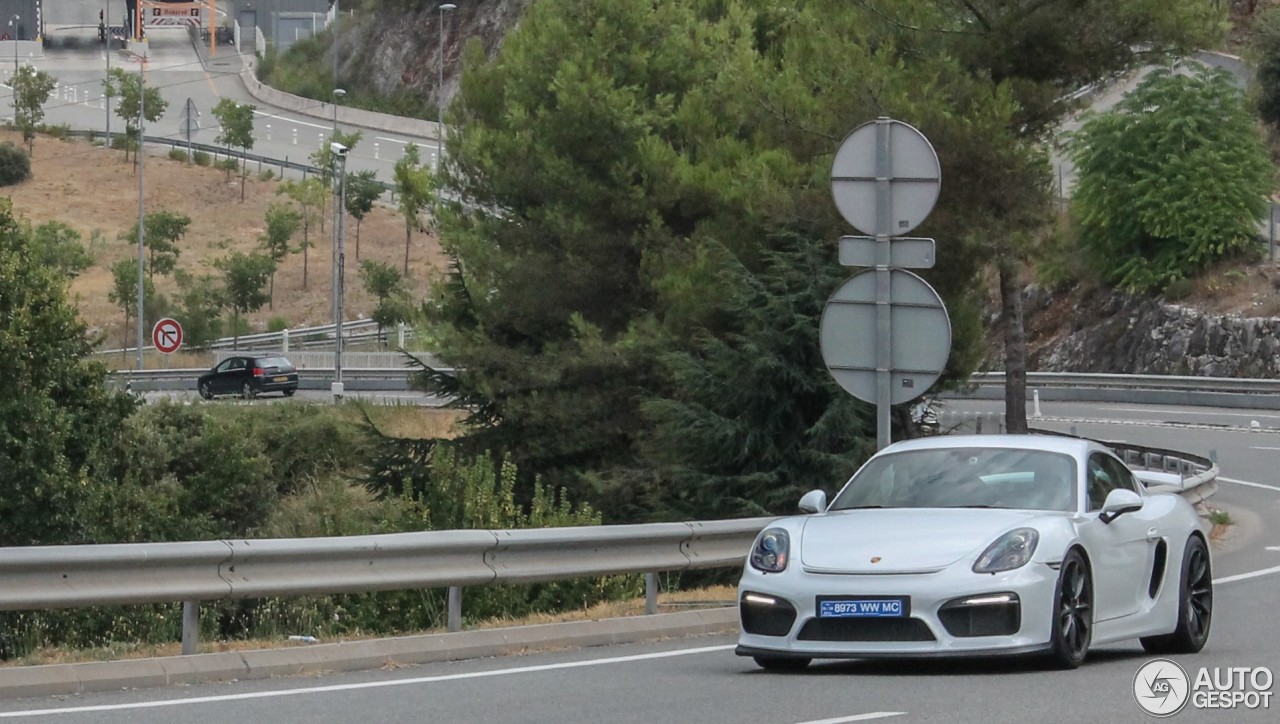 Porsche 981 Cayman GT4