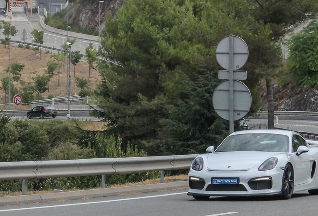 Porsche 981 Cayman GT4