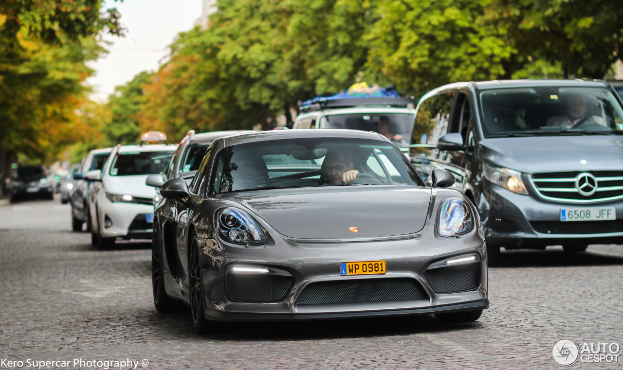 Porsche 981 Cayman GT4