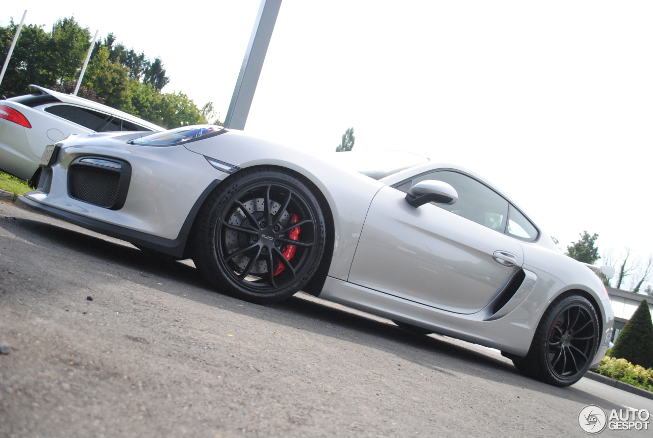 Porsche 981 Cayman GT4