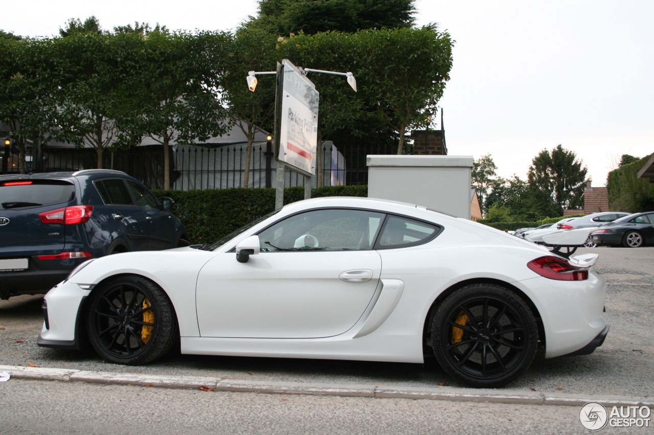 Porsche 981 Cayman GT4