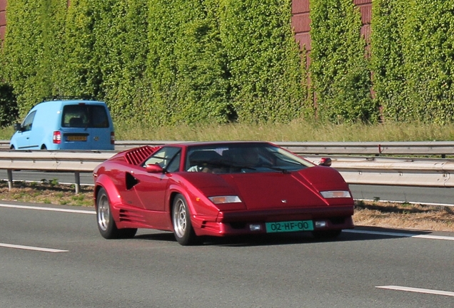 Lamborghini Countach 25th Anniversary