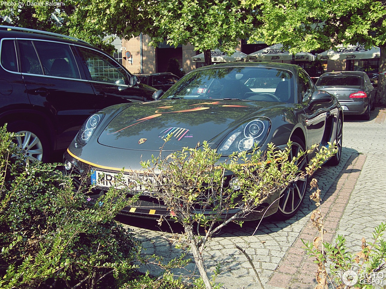 Porsche 981 Cayman S