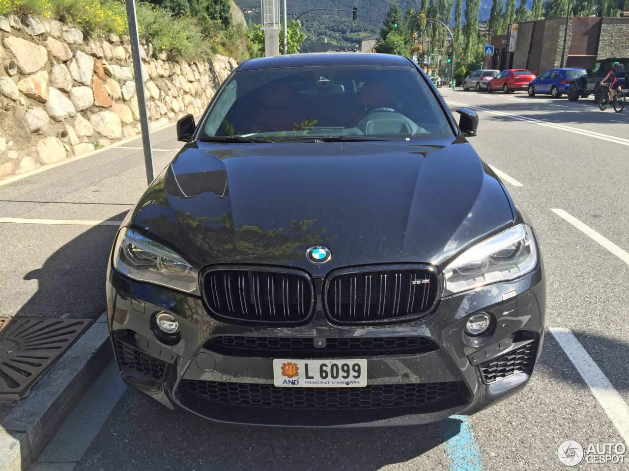 BMW X6 M F86