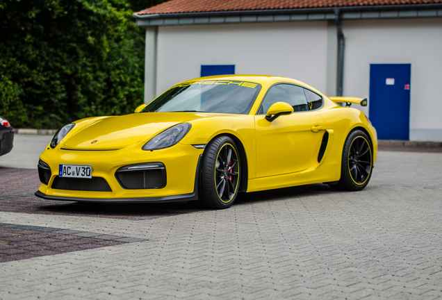 Porsche 981 Cayman GT4