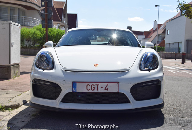 Porsche 981 Cayman GT4