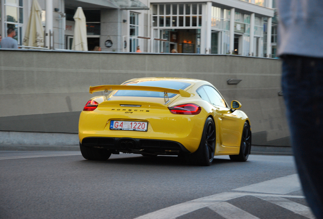 Porsche 981 Cayman GT4