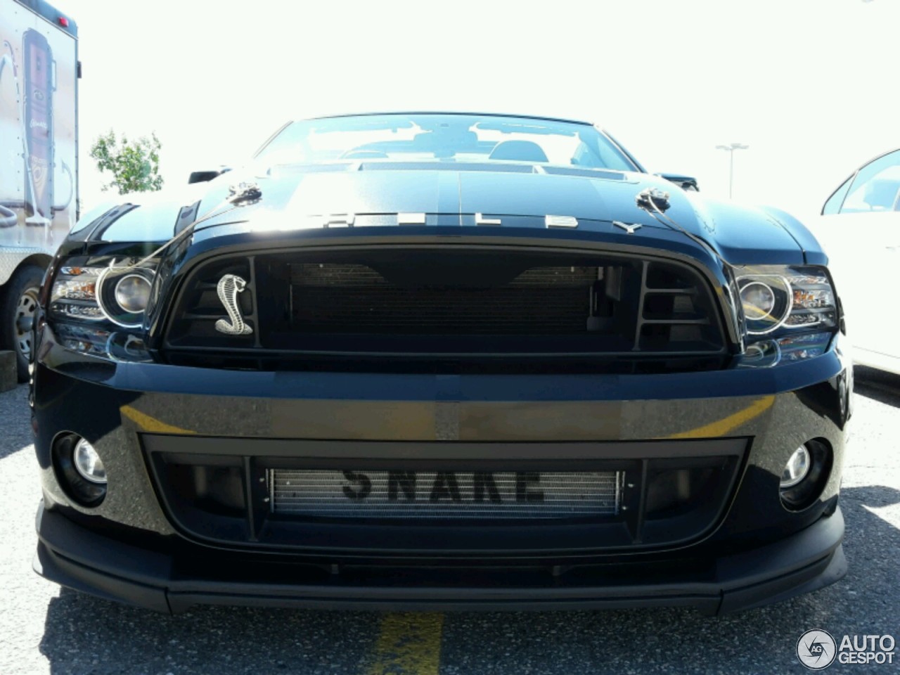 Ford Mustang Shelby GT500 Convertible 2014