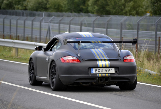 Porsche 987 Cayman S