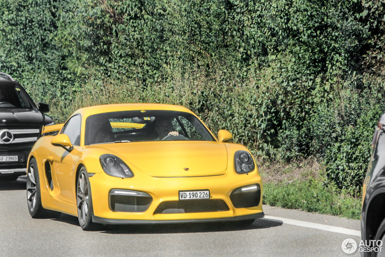 Porsche 981 Cayman GT4