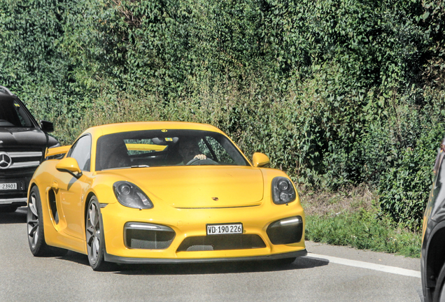 Porsche 981 Cayman GT4