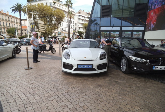 Porsche 981 Cayman GT4