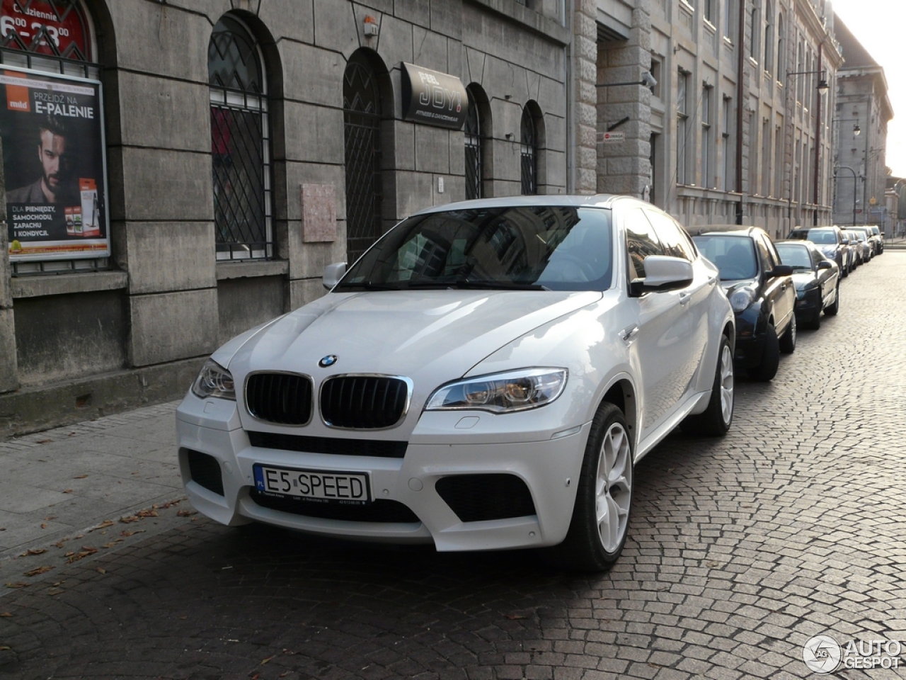 BMW X6 M E71 2013