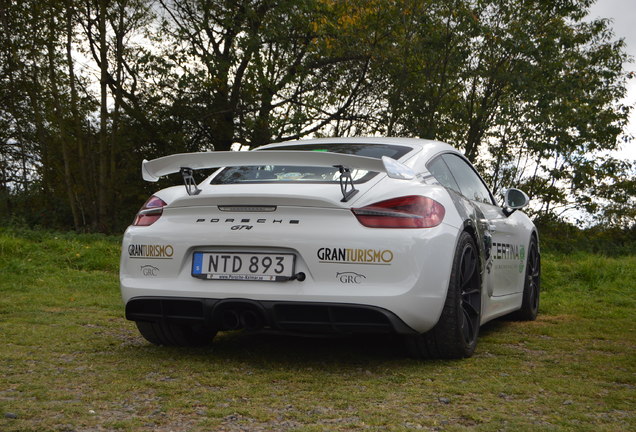 Porsche 981 Cayman GT4