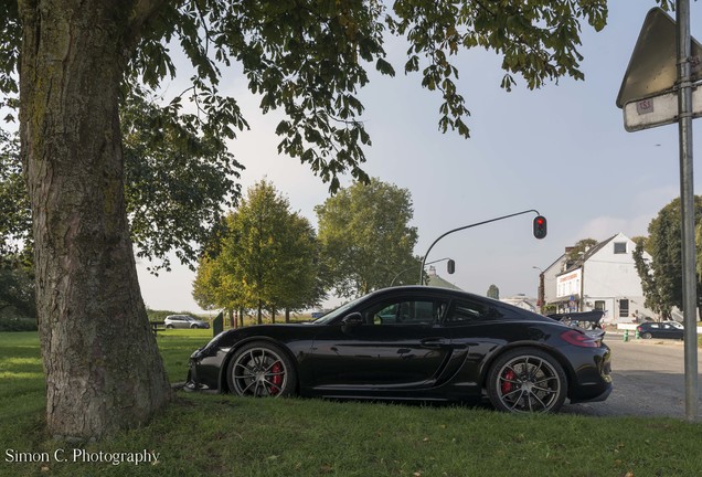 Porsche 981 Cayman GT4