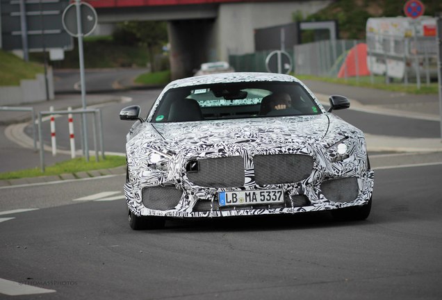 Mercedes-AMG GT R C190