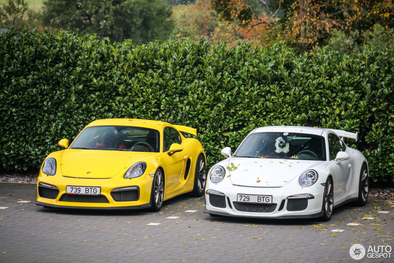 Porsche 981 Cayman GT4